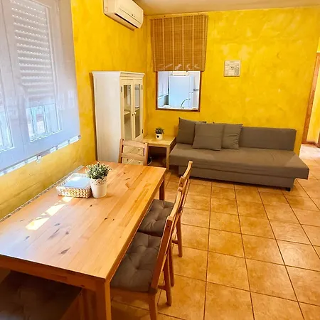 Universidad-hospital